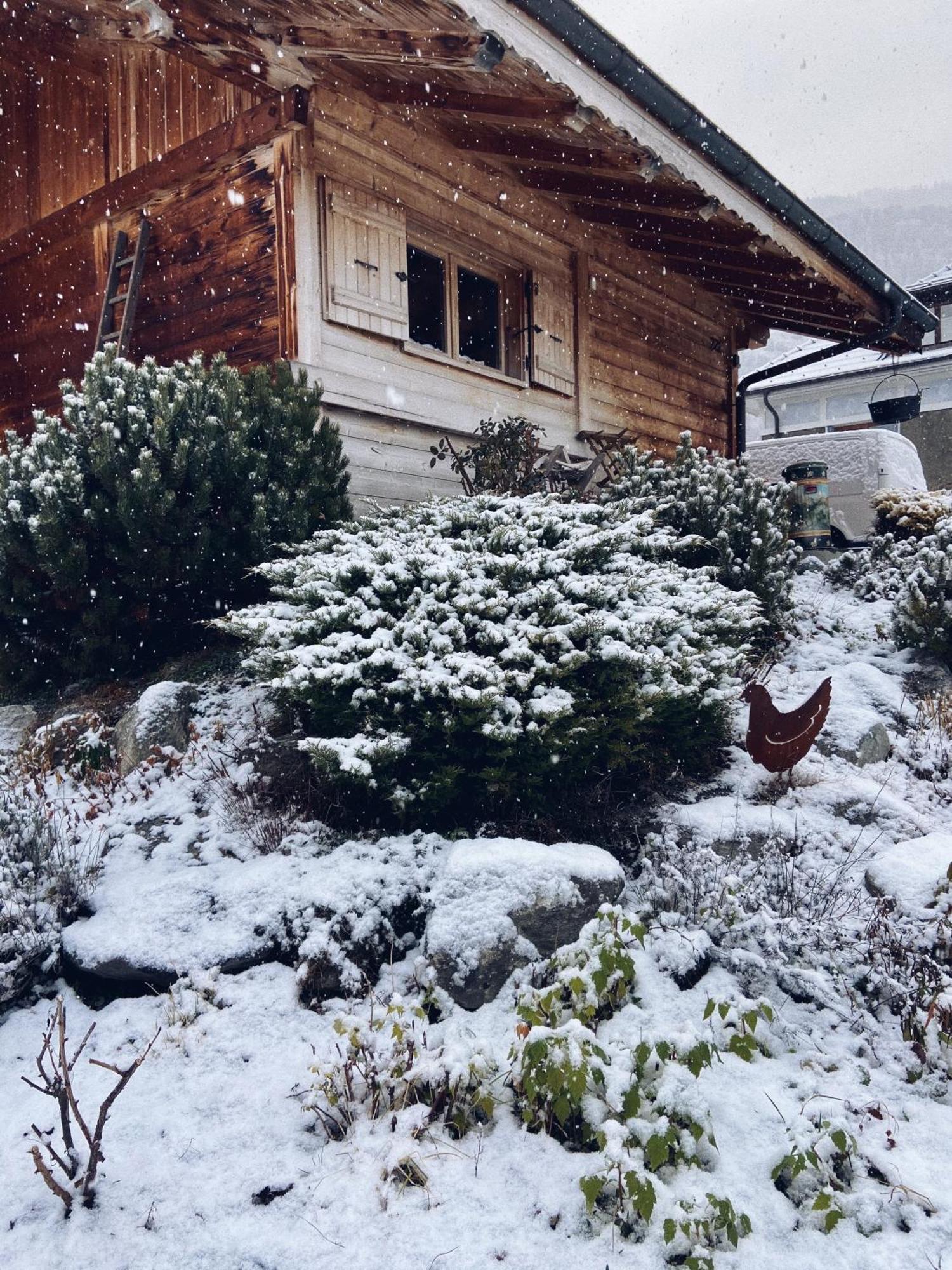 Grand Chalet A La Montagne Bourg-Saint-Maurice Exterior foto
